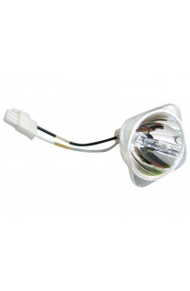 INFOCUS SP-LAMP-060 LAMPADA PHOENIX SENZA SUPPORTO (SOLO BULBO)