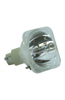 OPTOMA SP.8AE01GC01 BL-FP200E LAMPADA COMPATIBILE SENZA SUPPORTO (SOLO BULBO)