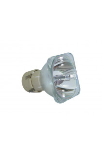 Dukane 456-8420 LAMPADA COMPATIBILE SENZA SUPPORTO (SOLO BULBO)