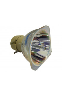 VIEWSONIC RLC-107 LAMPADA PHILIPS SENZA SUPPORTO (SOLO BULBO)