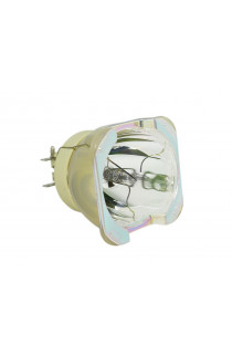 RICOH 512965, TYPE 25 LAMPADA PHILIPS SENZA SUPPORTO (SOLO BULBO)