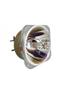 Optoma FX.PM484-2401 BL-FU310C LAMPADA PHILIPS SENZA SUPPORTO (SOLO BULBO)