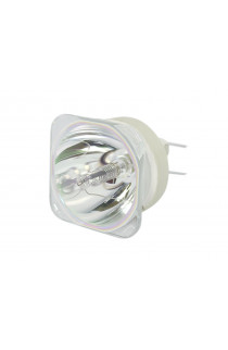 Optoma FX.PM484-2401 BL-FU310C LAMPADA COMPATIBILE SENZA SUPPORTO (SOLO BULBO)