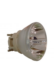 VIEWSONIC RLC-117 LAMPADA PHILIPS SENZA SUPPORTO (SOLO BULBO)