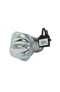   LAMPADA PHOENIX SENZA SUPPORTO (SOLO BULBO)
