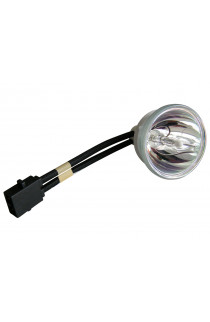   LAMPADA PHOENIX SENZA SUPPORTO (SOLO BULBO)