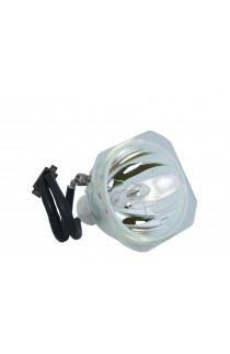   LAMPADA PHOENIX SENZA SUPPORTO (SOLO BULBO)