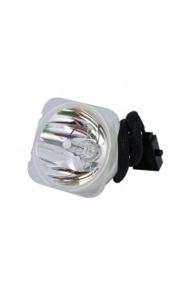   LAMPADA PHOENIX SENZA SUPPORTO (SOLO BULBO)
