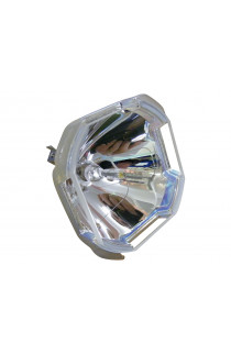   LAMPADA USHIO SENZA SUPPORTO (SOLO BULBO)