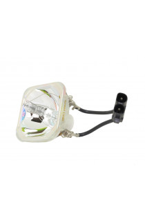   LAMPADA PHILIPS SENZA SUPPORTO (SOLO BULBO)
