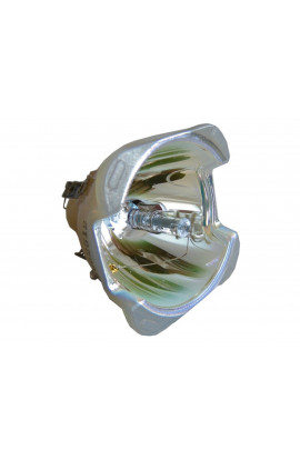 OPTOMA SP.L1301.001 SP.L3703.001 BL-FU250E BL-FU250F LAMPADA OSRAM SENZA SUPPORTO (SOLO BULBO)