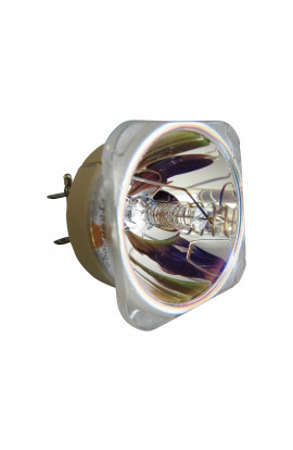 VIEWSONIC RLC-066 LAMPADA PHILIPS SENZA SUPPORTO (SOLO BULBO)