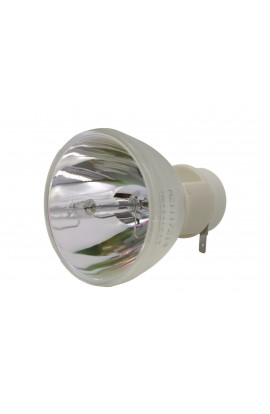 RICOH PJ U3000 lamp LAMPADA COMPATIBILE SENZA SUPPORTO (SOLO BULBO)
