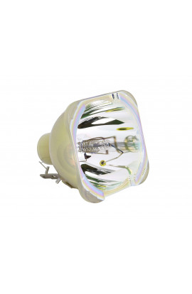 ACER MC.JMB11.001, MC.JMB11.008 LAMPADA PHILIPS SENZA SUPPORTO (SOLO BULBO)
