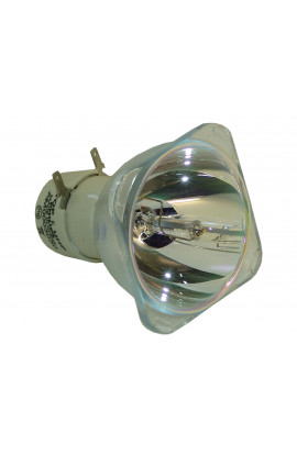 LEICA D-1200 LAMP LAMPADA PHILIPS SENZA SUPPORTO (SOLO BULBO)
