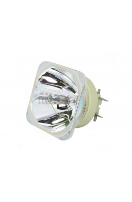 DUKANE 456-8980WU LAMPADA PHILIPS SENZA SUPPORTO (SOLO BULBO)