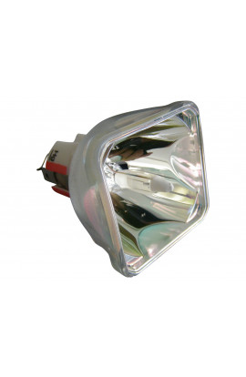   LAMPADA PHOENIX SENZA SUPPORTO (SOLO BULBO)