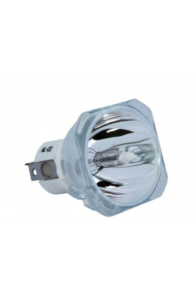   LAMPADA PHOENIX SENZA SUPPORTO (SOLO BULBO)