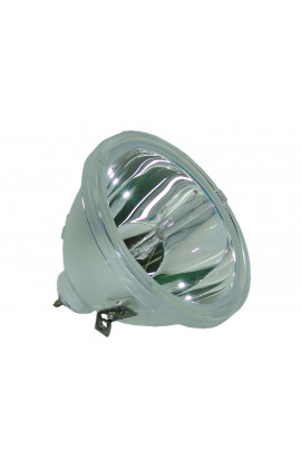   LAMPADA PHILIPS SENZA SUPPORTO (SOLO BULBO)