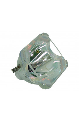   LAMPADA PHILIPS SENZA SUPPORTO (SOLO BULBO)