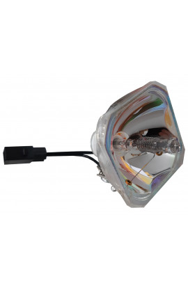   LAMPADA PHILIPS SENZA SUPPORTO (SOLO BULBO)