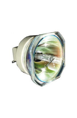   LAMPADA PHILIPS SENZA SUPPORTO (SOLO BULBO)
