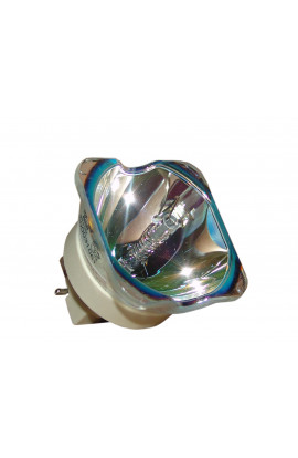   LAMPADA PHILIPS SENZA SUPPORTO (SOLO BULBO)
