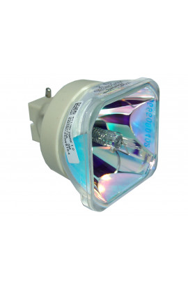   LAMPADA PHILIPS SENZA SUPPORTO (SOLO BULBO)